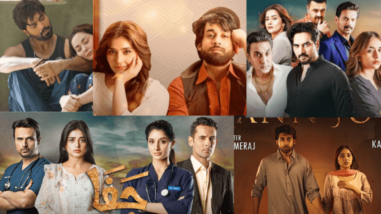 Top Five Pakistani Drama: पाकिस्तान के टॉप 5 सीरियल्स, जिन्होंने भारत में मचाई धूम