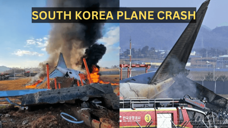 South Korea Plane Crash: विमान हादसे में सिर्फ 2 लोग ही बच सके जिंदा, 179 लोगों की हुई मौत