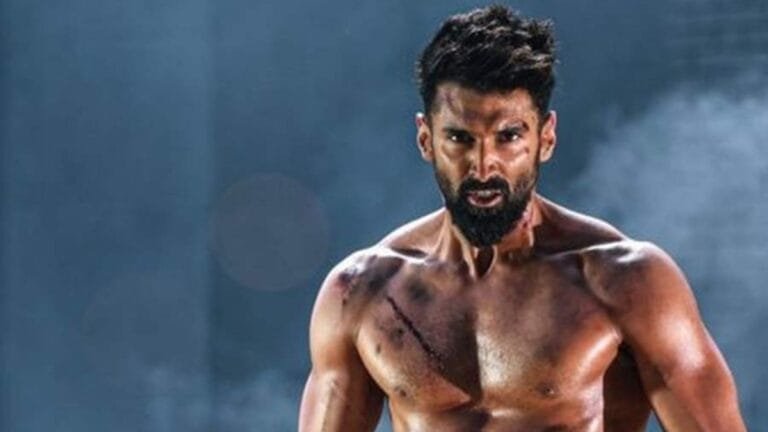 Aditya Roy Kapoor : छोटे रोल से सुपरस्टार बनने तक का शानदार सफर