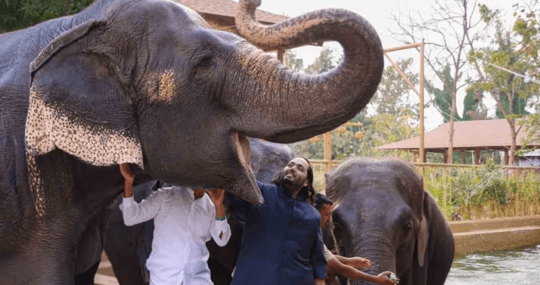 Anant Ambani की Vantara ने Animal Welfare में उत्कृष्टता के लिए प्रतिष्ठित राष्ट्रीय ‘प्राणी मित्र’ पुरस्कार जीता