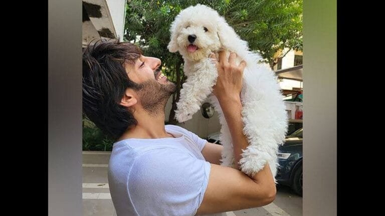 Kartik Aaryan ने शेयर किया दिल छू लेने वाला रील, फैंस ने दिया खूब प्यार