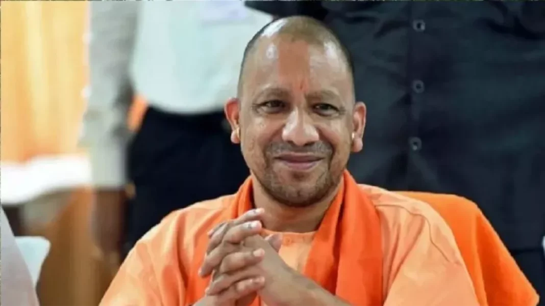 yogi