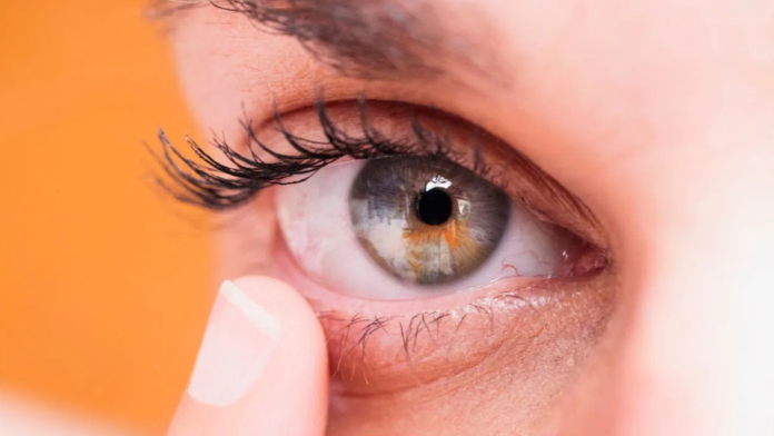 Screenshot 2025-03-27 142136