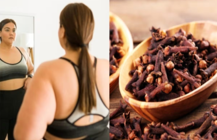 शरीर की जिद्दी चर्बी को तेजी से पिघला सकती है लौंग, बस 5 तरीकों से करना होगा इस्तेमाल शरीर की जिद्दी चर्बी को तेजी से पिघला सकती है लौंग, बस 5 तरीकों से करना होगा इस्तेमाल