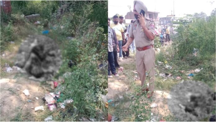 Amritsar में जोरदार धमाका, कबाड़ी की मौत, दोनों हाथ उड़ गए, इलाके में हड़कंप मचा