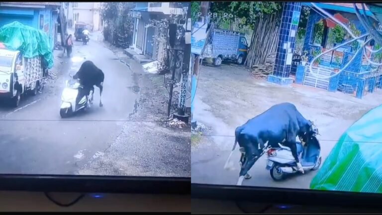 Rishikesh में चौंकाने वाला नज़ारा: साँड़ ने बीच सड़क से Activa चुरा ली, CCTV में कैद हुई अनोखी वारदात