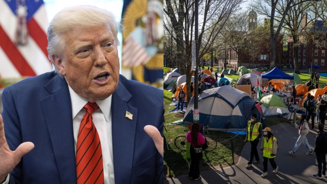 Trump का बड़ा फैसला_ विदेशी छात्रों की एंट्री पर ब्रेक! सभी स्टूडेंट वीज़ा इंटरव्यू पर रोक, सोशल Trump का बड़ा फैसला: विदेशी छात्रों की एंट्री पर ब्रेक! सभी स्टूडेंट वीज़ा इंटरव्यू पर रोक, सोशल मीडिया से होगी जांच