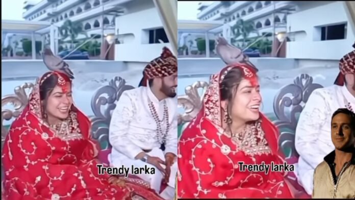 शादी के मंडप में दुल्हन के सिर पर आकर बैठा कबूतर, वीडियो ने काटा सोशल मीडिया पर बवाल